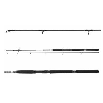 Wędka Daiwa BG Offshore...