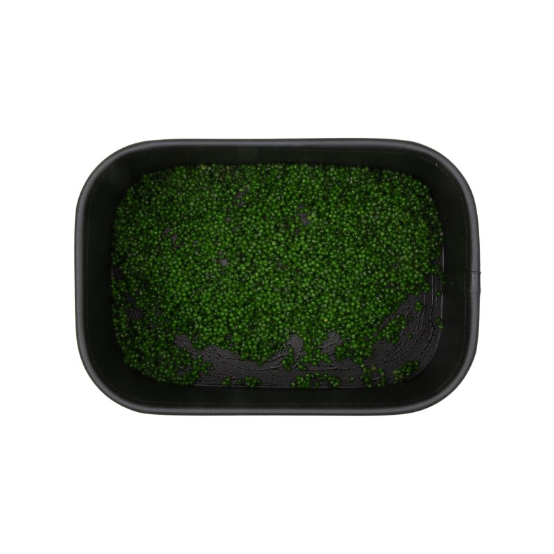 BaitNow Liquid Method Feeder Voo-doo Hybrid 50ml|BaitNow|5900637153610|Ehooks.pl sklep wędkarski