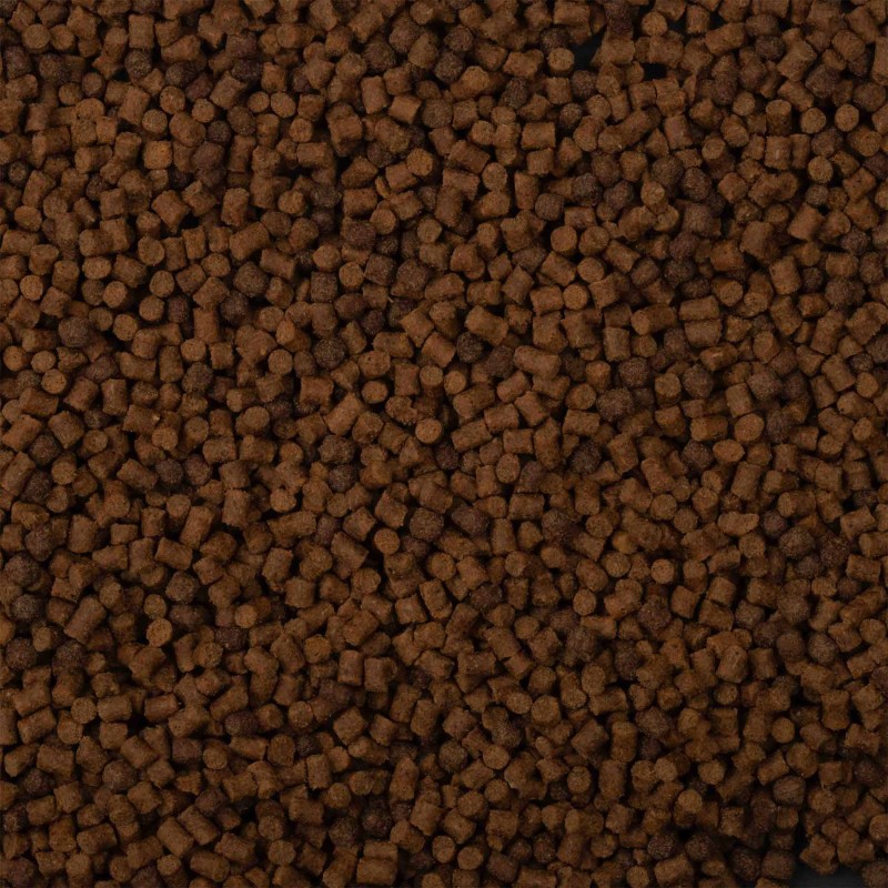 BaitNow Pellet Method Feeder Flow 2.8mm 800g|BaitNow|5900637156758|Ehooks.pl sklep wędkarski